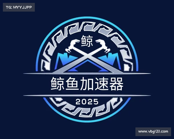 了解鲸鱼加速器